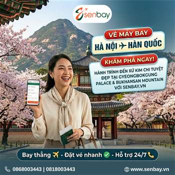 Vé Máy Bay Hà Nội Hàn Quốc: Cập Nhật Bảng Giá & Ưu Đãi Mới Nhất Tại Vemaybay